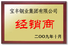 桐城宝丰经销商